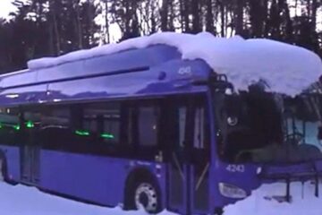 Parked electric buses covered in snow