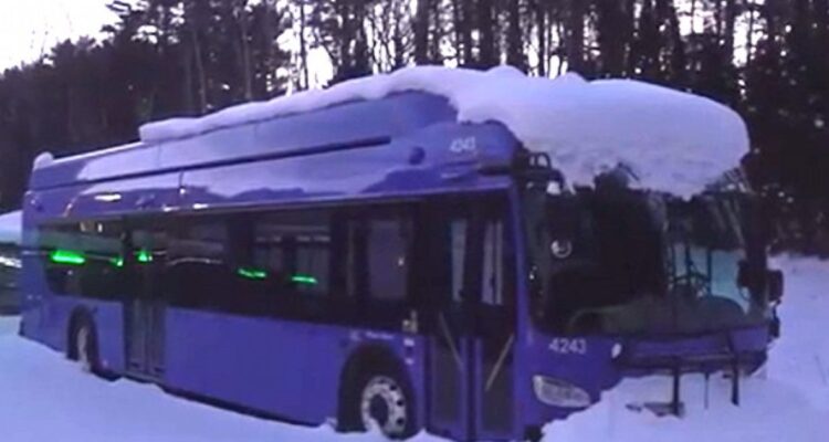 Parked electric buses covered in snow