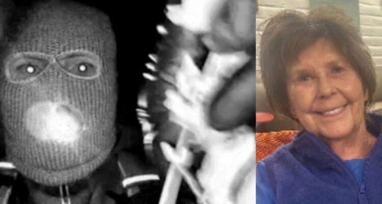 Police lights and sheriff vehicle at night