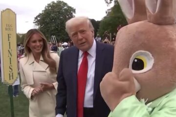 Carton of eggs at grocery store with price tag