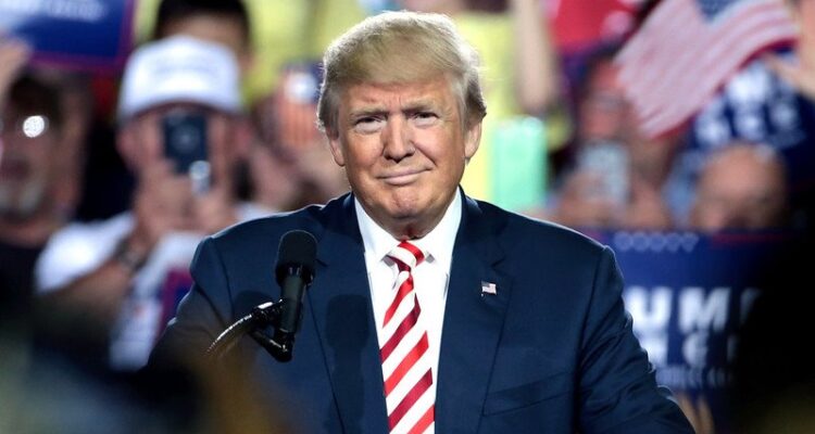 Screenshot of Newsweek poll headline and tweet