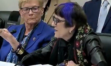 Lee Zeldin speaking during a heated House EPA hearing.