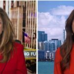 Harmeet Dhillon discussing DOJ action over voter rolls on Sunday Morning Futures