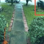 Blue Tesla Model 3 captured on video speeding through a Texas neighborhood before crashing into a home