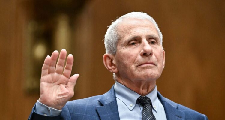 Dr. Anthony Fauci speaking during a Senate hearing