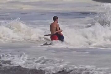 Santa Cruz lifeguard rescues boy from rough waves in California