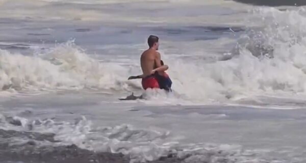 Santa Cruz lifeguard rescues boy from rough waves in California