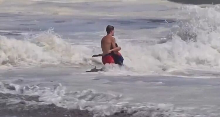 Santa Cruz lifeguard rescues boy from rough waves in California