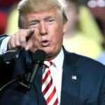 President Donald Trump criticized Fox News host Shannon Bream and her Sunday program in Truth Social posts.