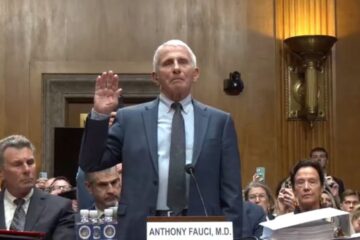 Fauci referenced in a headline alongside Jay Bhattacharya and The Gateway Pundit