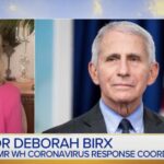 Dr. Deborah Birx speaks about COVID-19 policies after Dr. Anthony Fauci invokes the Fifth Amendment during a Senate hearing