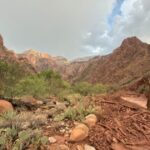 Flash flooding in the Grand Canyon area of Arizona as officials search for more than 20 missing or unaccounted-for people