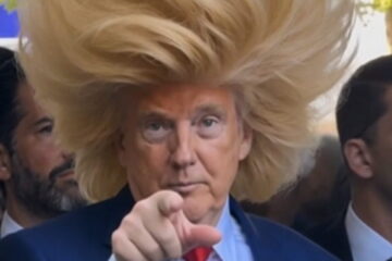 A collection of humorous Donald Trump hair memes shared on X