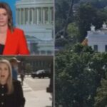 A man heckles CNN reporter Betsy Klein outside the White House during a live segment