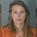 Taylor Gosnell faces charges after her two children were allegedly stabbed in South Carolina.