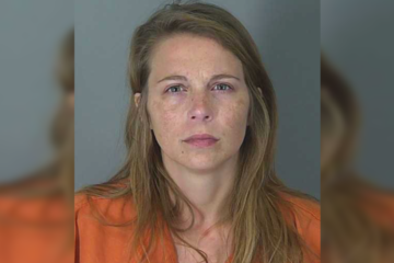 Taylor Gosnell faces charges after her two children were allegedly stabbed in South Carolina.