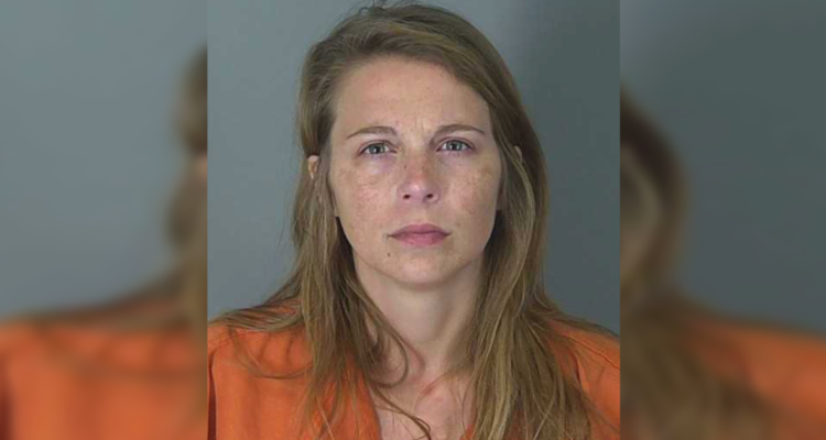 Taylor Gosnell faces charges after her two children were allegedly stabbed in South Carolina.