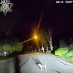 Leawood police officer follows a dog to its owner lying on a garage floor