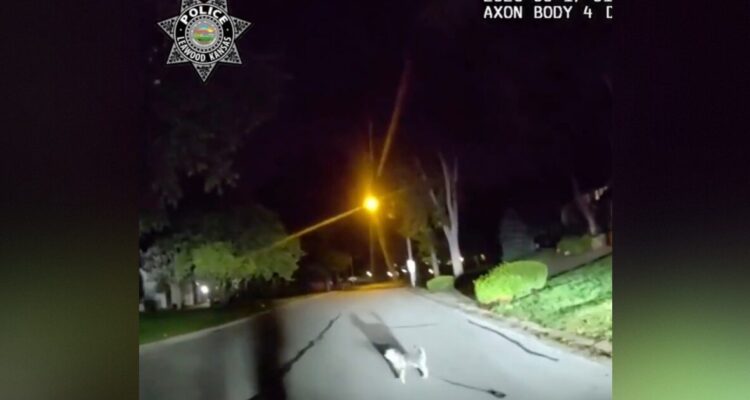 Leawood police officer follows a dog to its owner lying on a garage floor