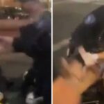 Police video shows Arizona State cheerleader Eryn Bonner being shoved and pinned during an arrest in Tempe.
